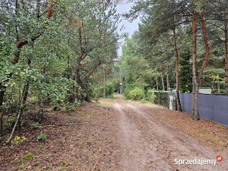 wynajmu działki Mogilno 600m2