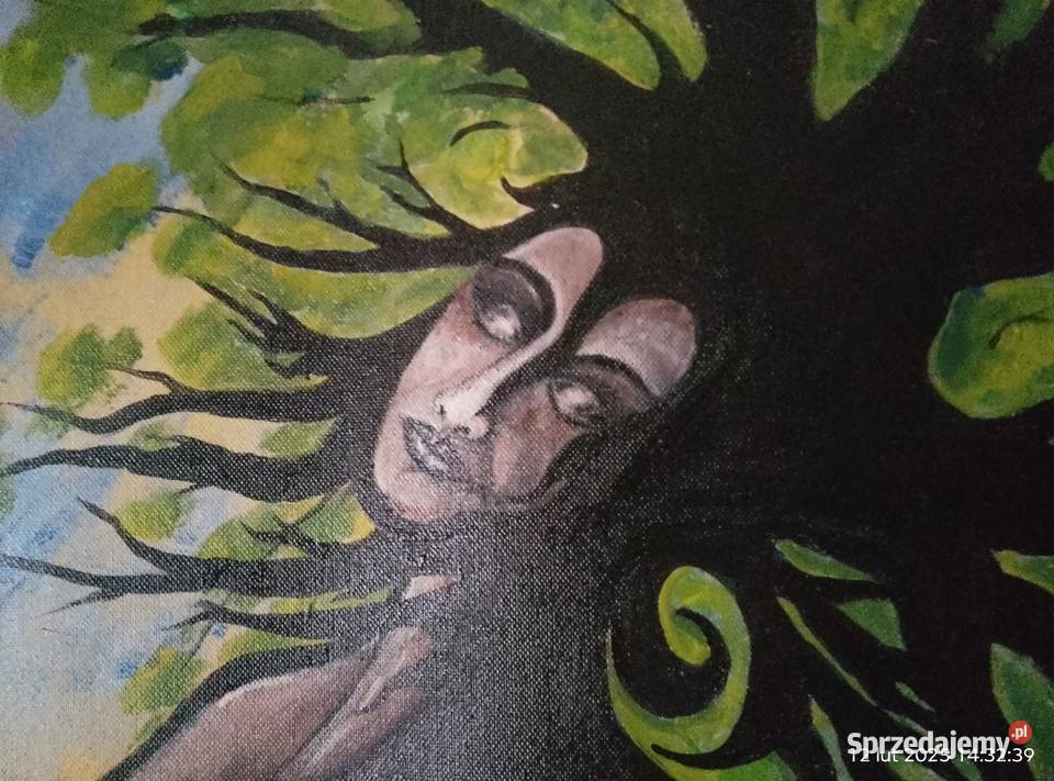 Driada 96 x 146 lubuskie Gniewoszyce