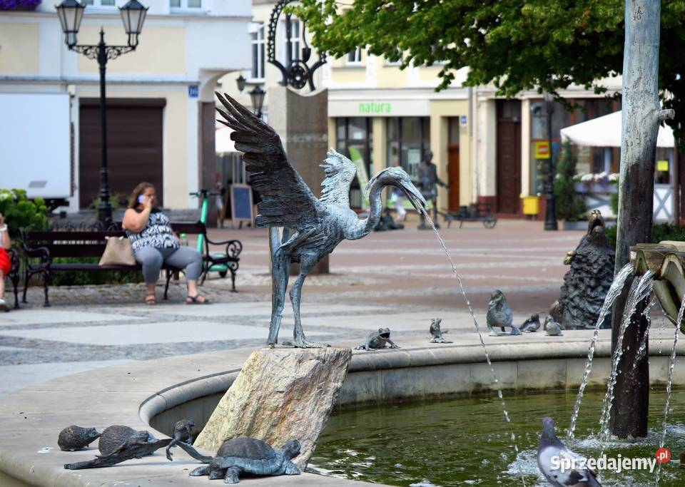 Canon PowerShot G1 X Mark II Matryca 15 14 Mpix Aparaty Fotografia i Optyka łódzkie Pabianice