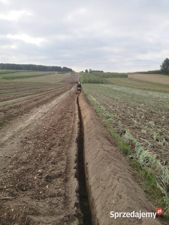 Wykopy liniowe usługi KOPARKĄ ŁAŃCUCHOWĄ Tarczyn