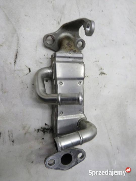 CHŁODNICZKA SPALIN EGR HONDA JAZZ 13 B IV 15 osobowe lubelskie