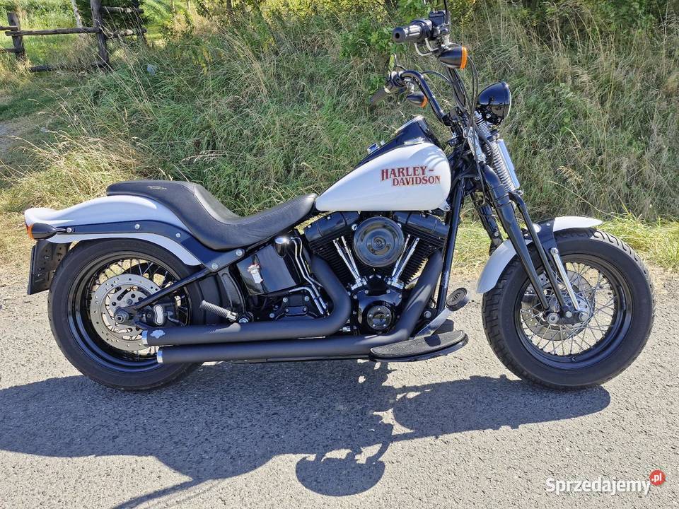 Harley Davidson Softail Cross Bones Myślenice