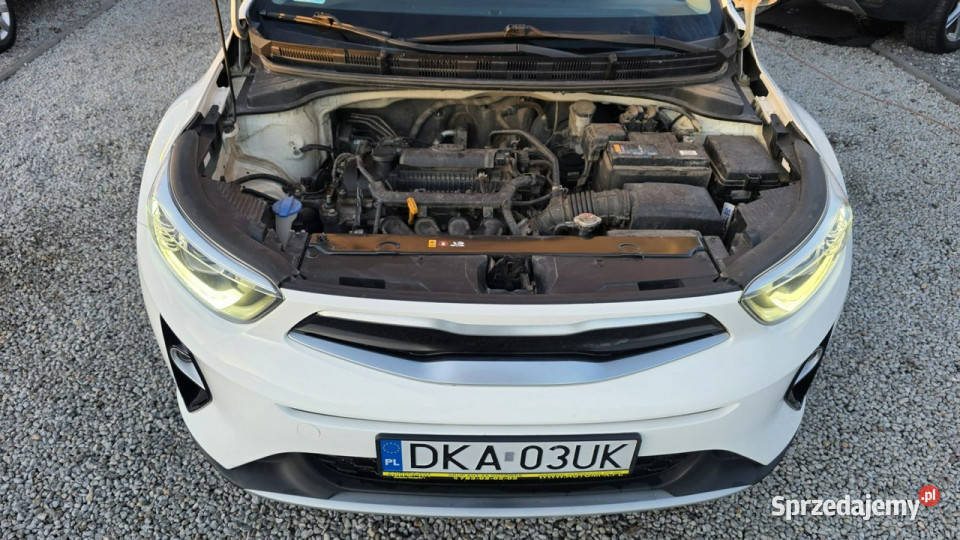 Kia Stonic 1Wł Salon 14 benzyna Śliczny z Świdnica