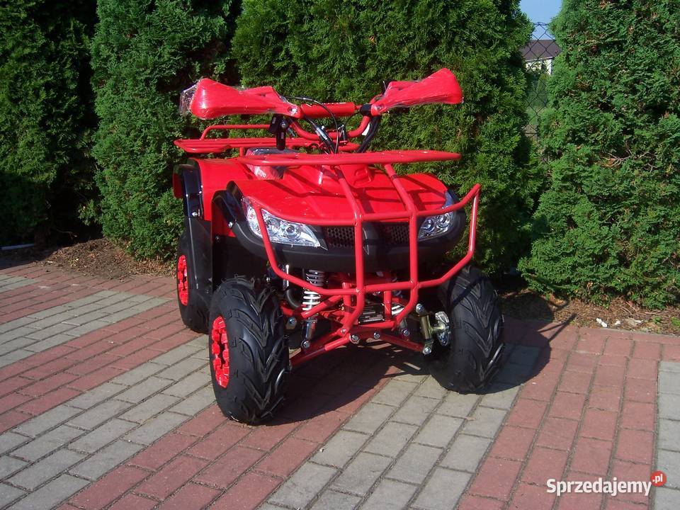 Quad KXD Hammer Phyton 110 cc 125 automat 1 1 Goleniów