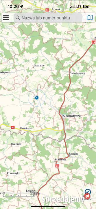 Sprzedam drewno na pniu podlaskie sprzedam