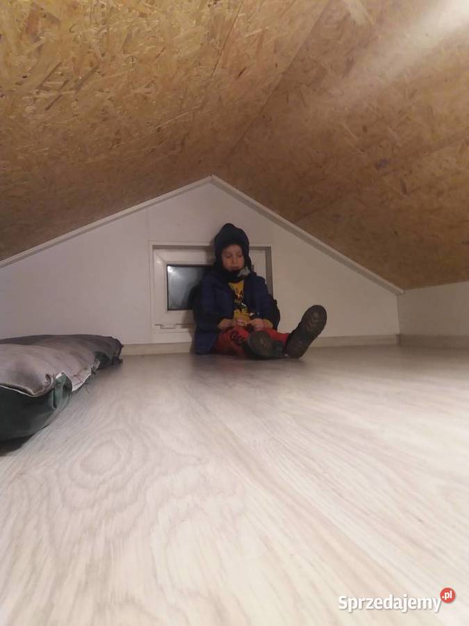 Działka ROD Warszawa Paluch Krokus 20m Raszyn