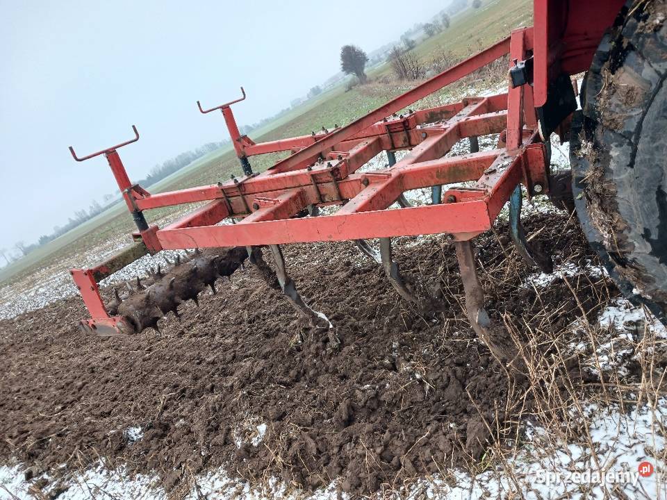 Gruber Landsberg 11 łap Agregaty podlaskie Szczuczyn