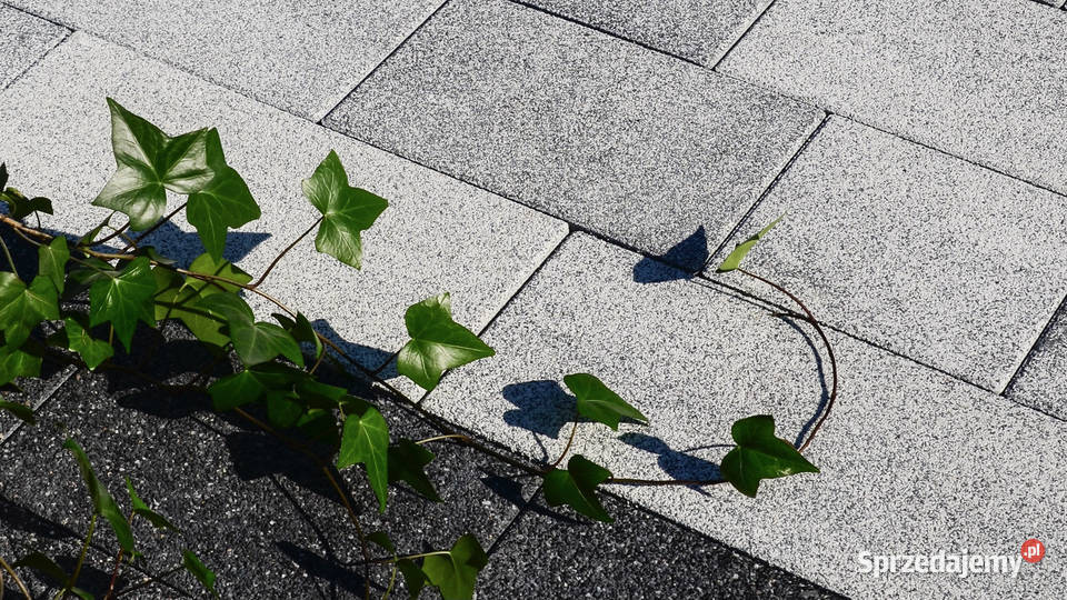 Kostka betonowa brukowa Pianola