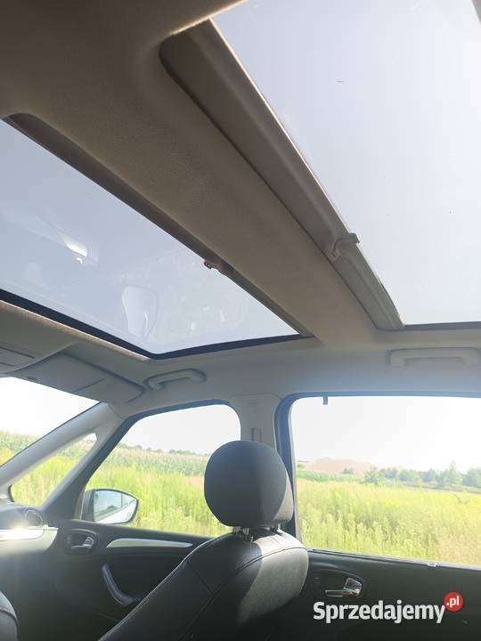 Ford S S-MAX Osetnica