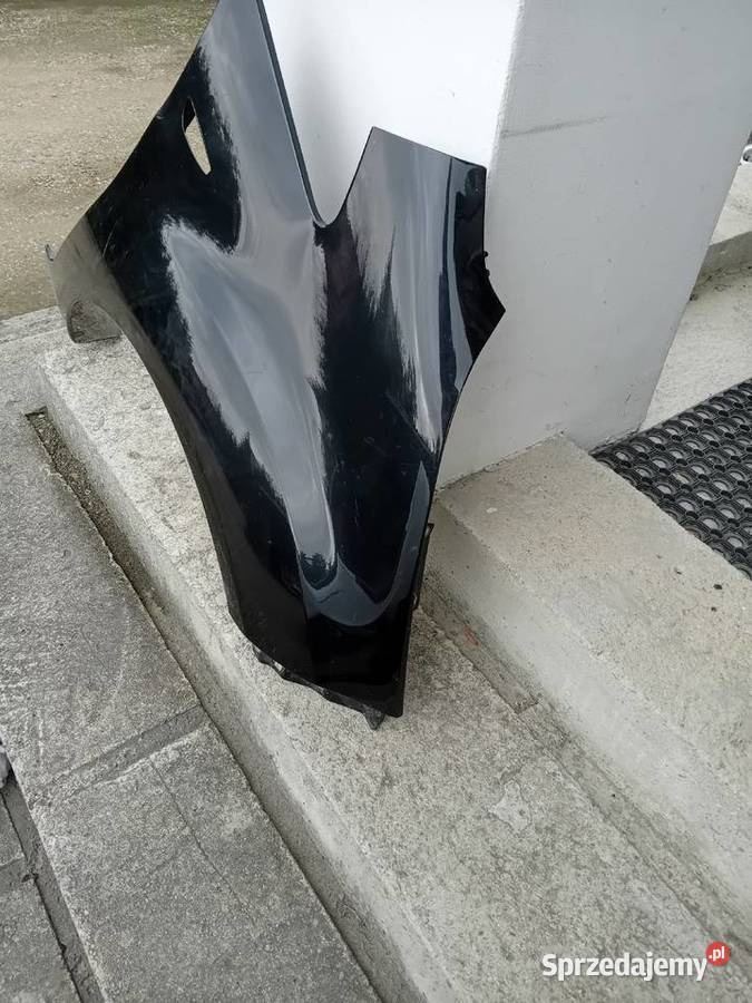 Blotnik prawy kia venga