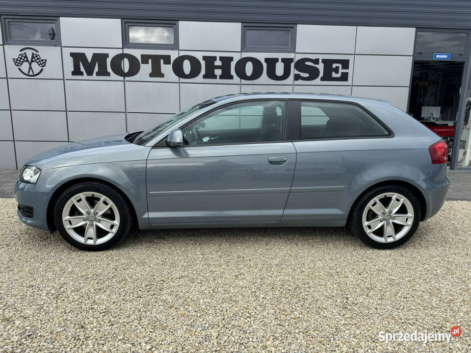 Audi A3 16 mpi xenon pełny serwis 8P 20032012 102KM A3 śląskie Chełm Śląski