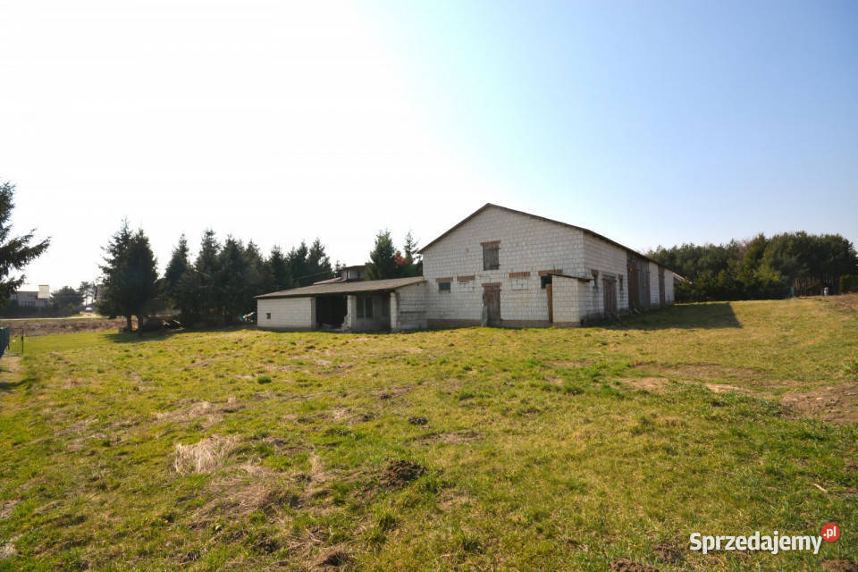Działka 2227m Jawidz kanalizacja