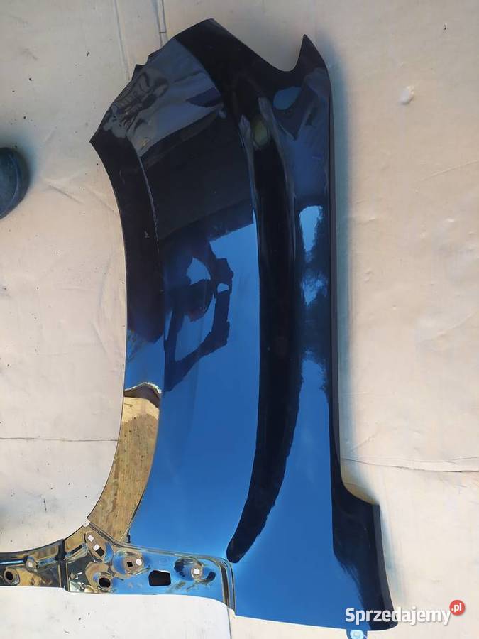 Dacia Duster II drzwi prawy tył Rybnik