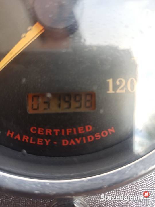 HarleyDavidson Fxdwg Wide Glide chopper wielkopolskie Złotów