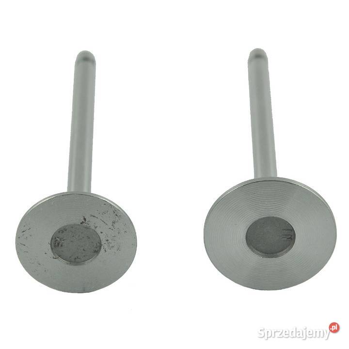 Zawory silnika Toyosha S111P126 Hinomoto Tajęcina