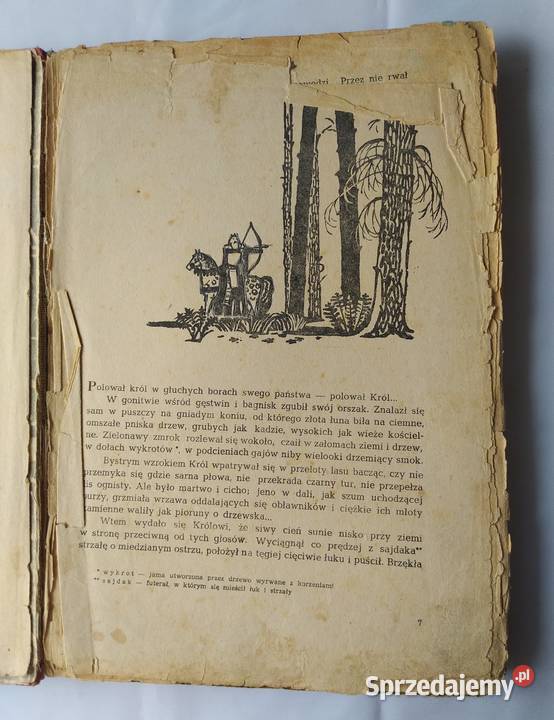 Bajka o żelaznym wilku Wacław Sieroszewski fantasy