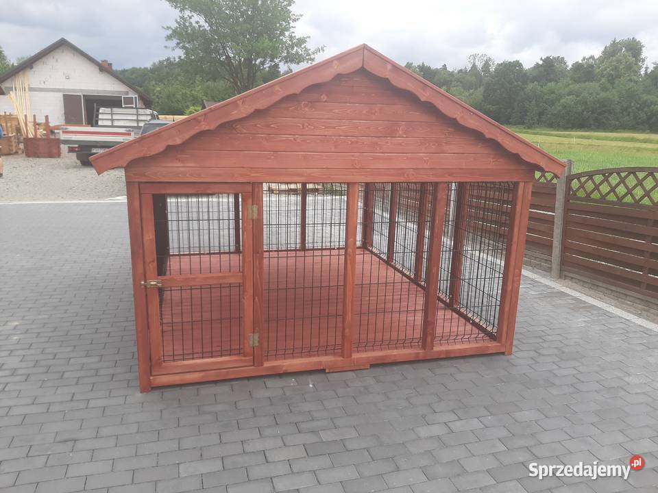Kojec psa Jordanów