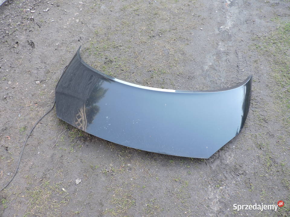 Maska Renault Grand Scenic II NV 676 śląskie Myszków sprzedam