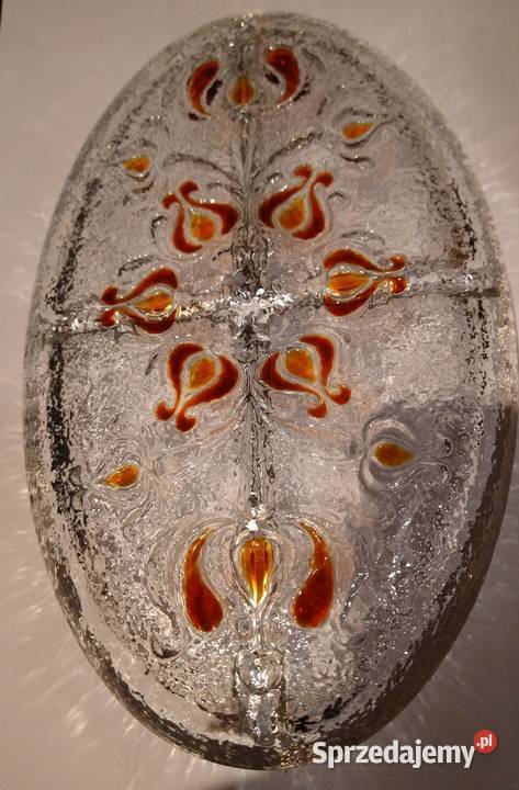 Patera sliczna Rumianek