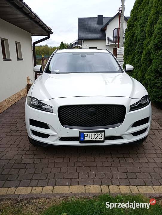 Jaguar fpace Zamiania 2017 30 Bełchatów