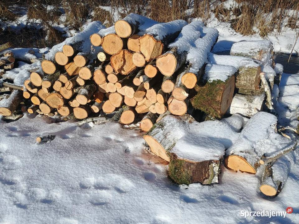 Drewno opałowe kominkowe brzoza wałki Pozostałe pomorskie Czersk
