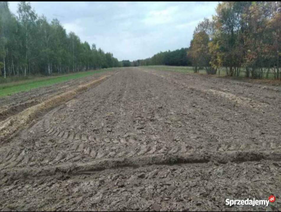 Działka rolna Antoniówka Ostrówek Kolonia 064 ha 10m