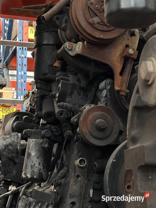 Deutz OK BF6M1013E Silnik Blok CZĘŚCI 04208139R Jastrzębniki