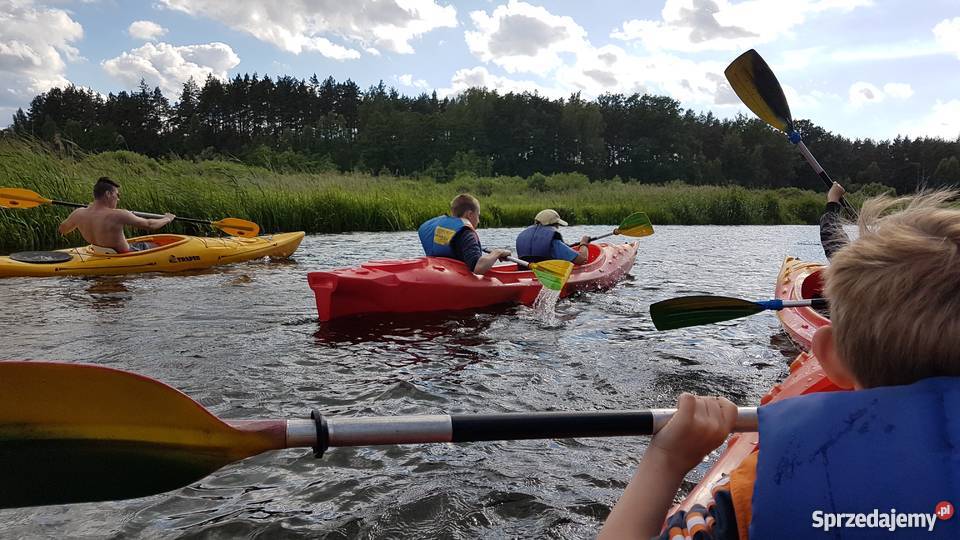 Kolonie obozy na Mazurach w Górach warmińsko-mazurskie Ruciane-Nida