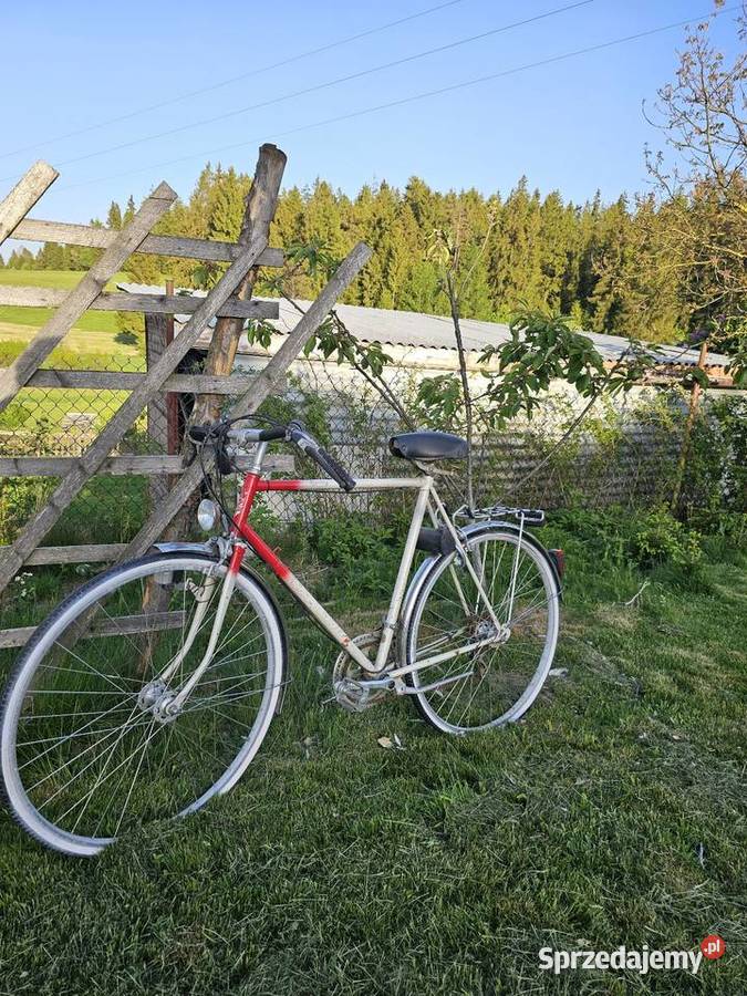 Rower Alpina klasyczny rower miejski trekkingowy małopolskie Pyzówka