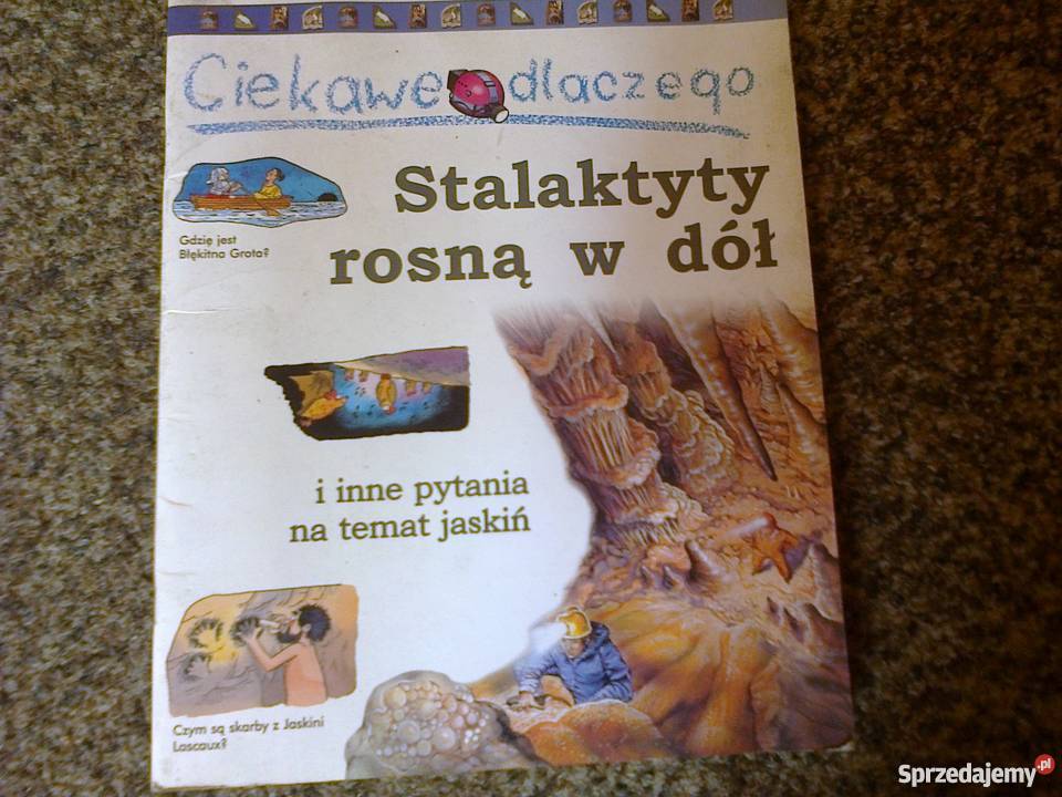 Księga Zagadek Na Wszelki Wypadek Księga Zagadek Na Wszelki Wypadek - STELLIANA NISTOR