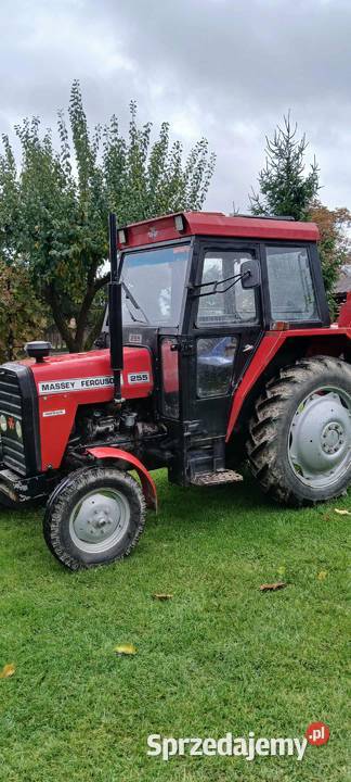 Ursus Massey Ferguson 255 MF lubelskie Radzyń Podlaski