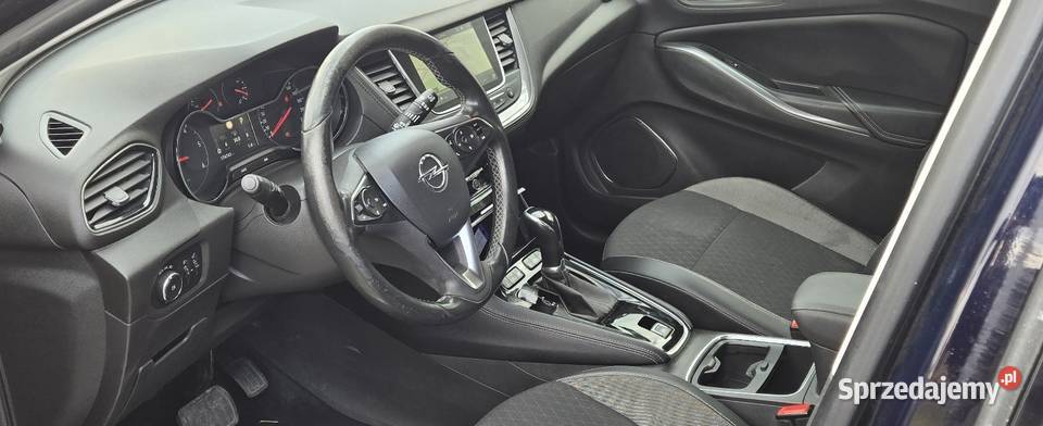 Opel Grandland X komputer pokładowy Leszno