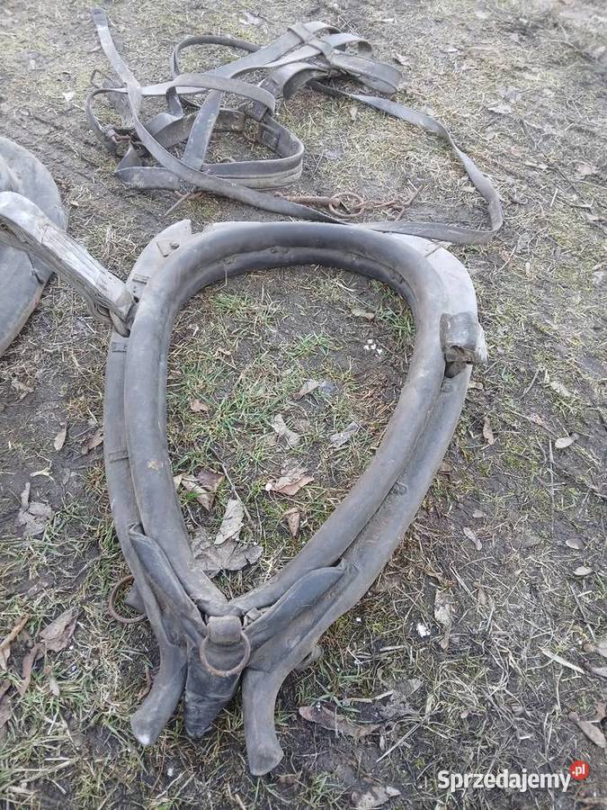 Homento Uzda Konna owijki Kaganiec Oryginalne z