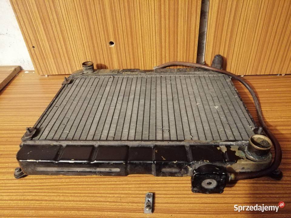 Polonez borewicz caro truck 19 chlodnica