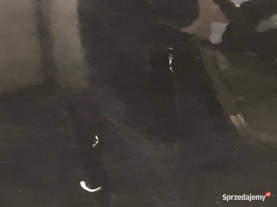 DRZWI LEWY TYŁ CITROEN C3 I Hatchback