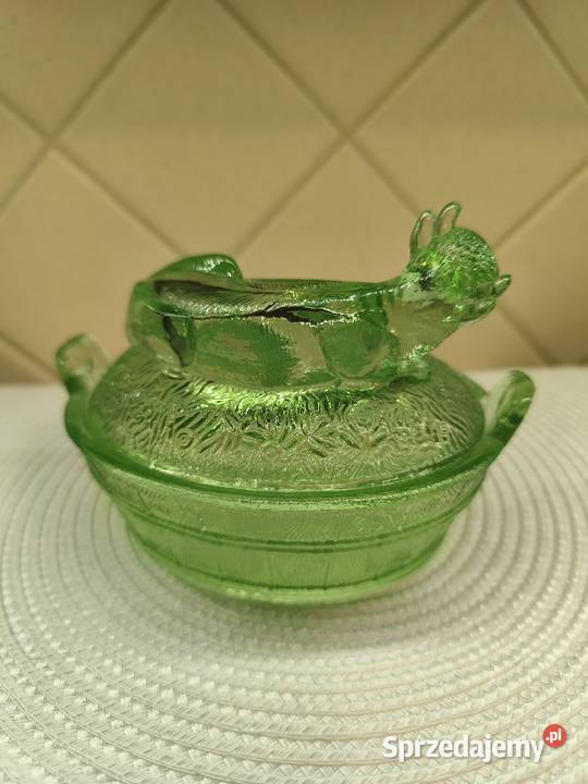 Krowa maselnica HSG Ząbkowice Konin