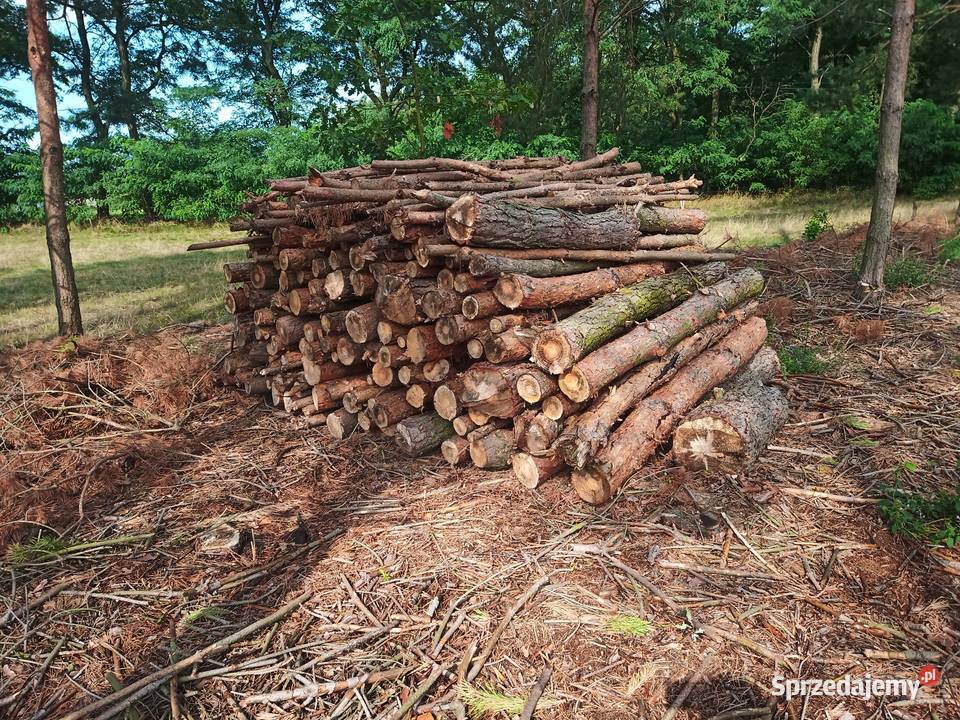 Brzoza sosna akacja wałki drewno suche m3 Wągrodno