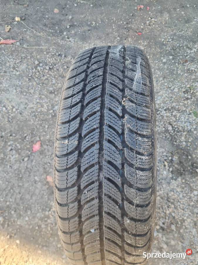 Opona zimowa Dębica frigo 1856015 1sztuka Myszków