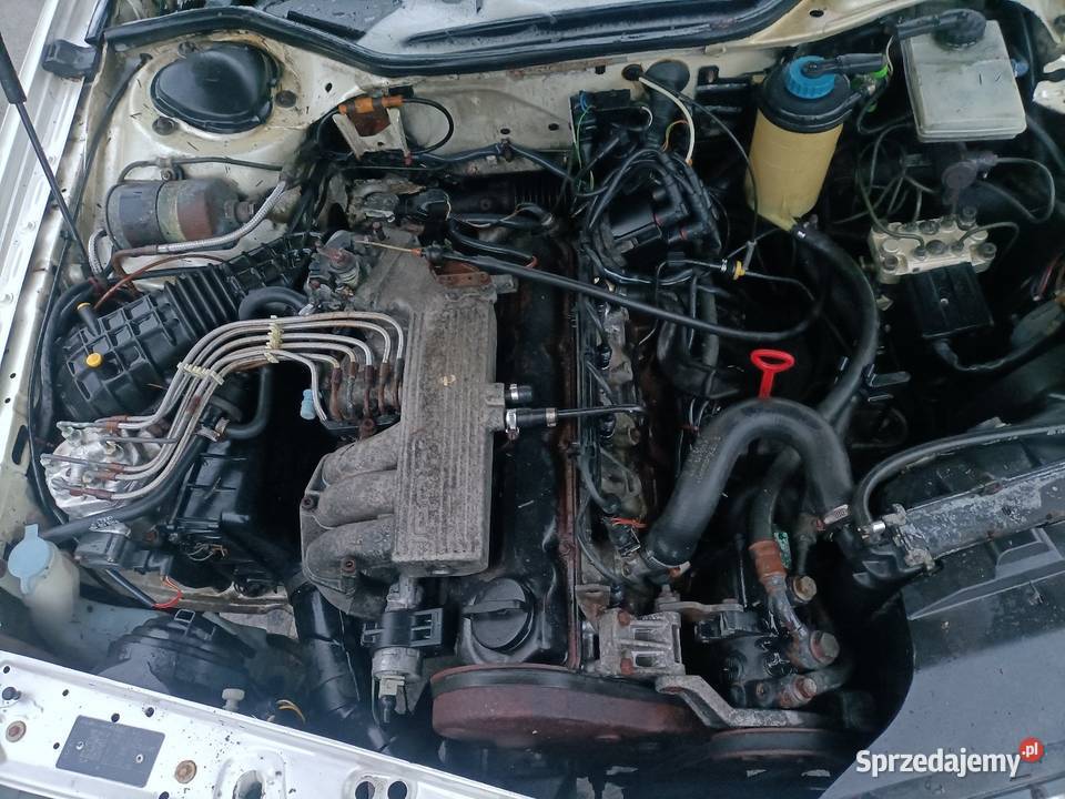 Audi 250000km 100 Stargard sprzedam