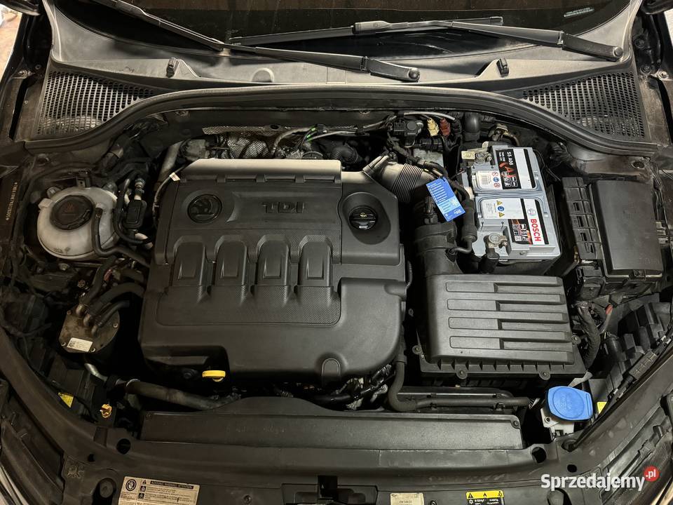 Skoda Octavia III 20 TDI DSG 2019 VC Canton sprzedam