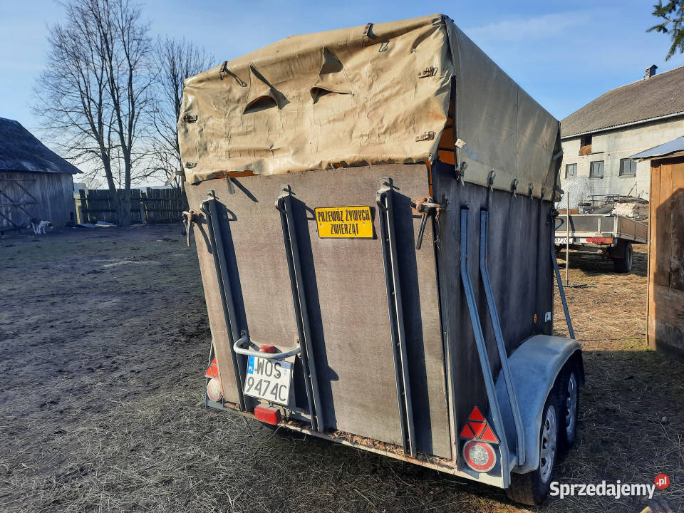 Przyczepa do przewozu koni WESTERIA VT 135 DMC Dzbądzek sprzedam