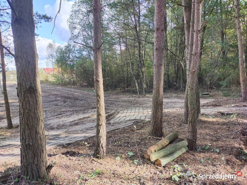 Działki budowlane 10 Płońska Kępa sprzedam