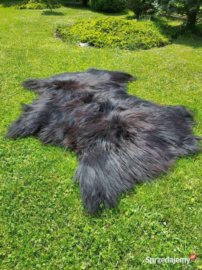 Dywan ze Skóry Na Podłogę Naturalne Czarne Skóry Szaflary