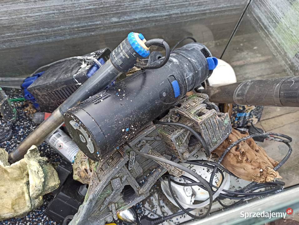 Akwarium z wyposażeniem Strzyżewo