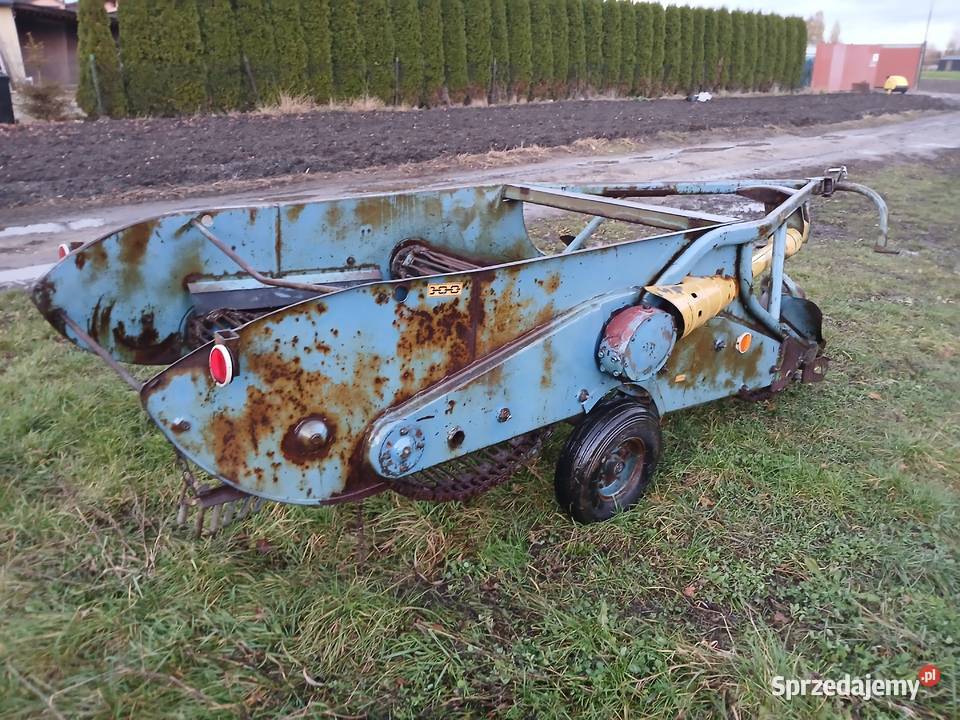 Kopaczka elewatorowa Kopaczka do ziemniaków Rzgów