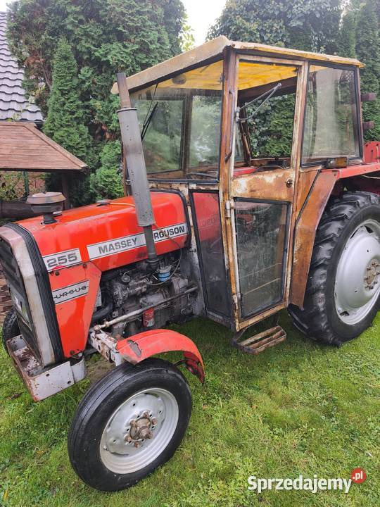 Massey Ferguson 255 Ursus 3512 Miechów