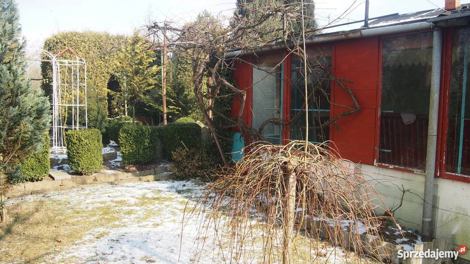 ogródek działkowy Sochaczew