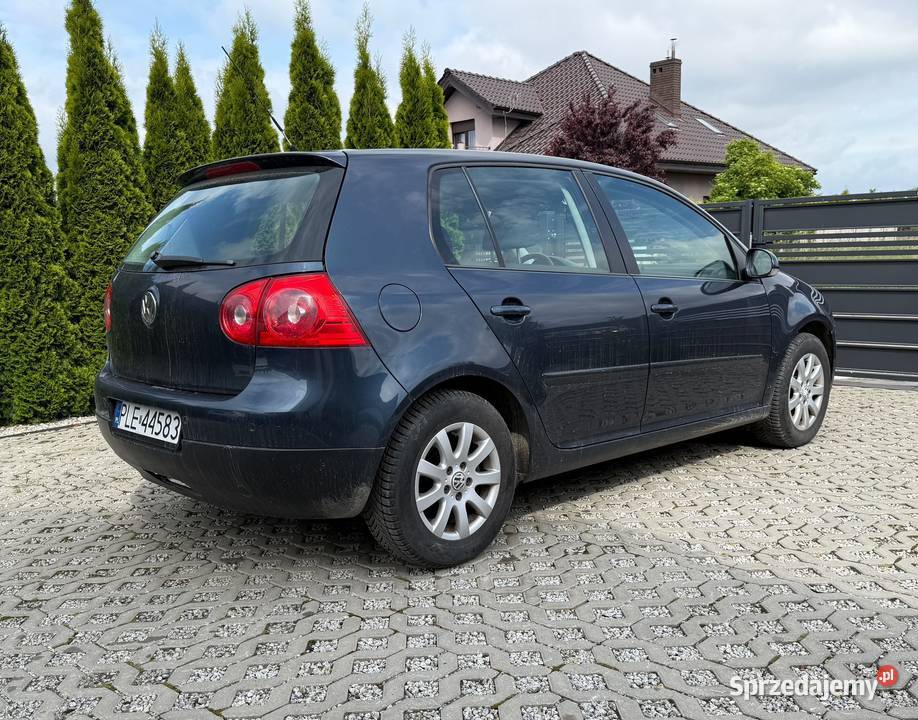 Volkswagen Golf 5 16 MPI 2007r 134000 przebiegu 102KM Leszno sprzedam