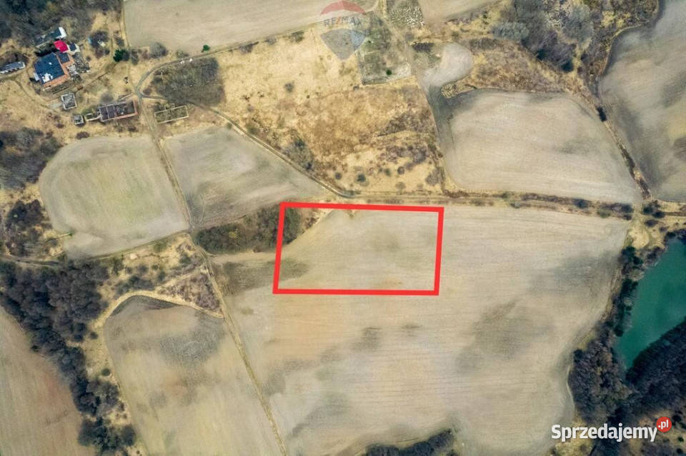 Działka rolna Grabowno Wielkie gm Twardogóra