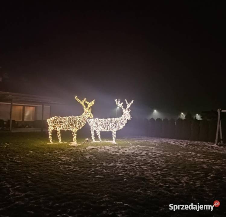 Renifer XXXL 27m Turowola